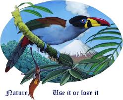 129 species in alphabetical order. Bird List How Many Birds In The World