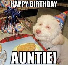 15 Cute Happy Birthday Aunt Meme Images Wishlovequotes