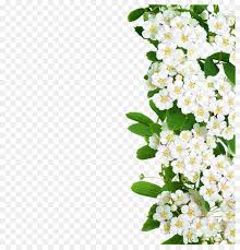 Choose from 170000+ flower graphic resources and download in the form of png, eps, ai or psd. Floral Spring Flowers Png Download 2404 2502 Free Transparent Flower Png Download Cleanpng Kisspng