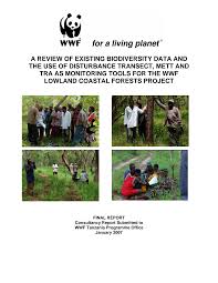 Image result for Oxyanthus zanguebaricus