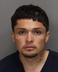 What You Read in 2016