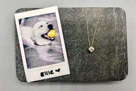 Turn Pet Ashes Into Diamonds Dogs Cats Horses More Eterneva Pet Ashes Pets Diamond Dogs