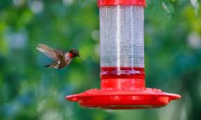 But if the feeder is covered in sugar water, barring bees from the drinking hole won't do much good—so the guards aren't a. The Best Hummingbird Feeders For Your Garden By Type Epic Gardening