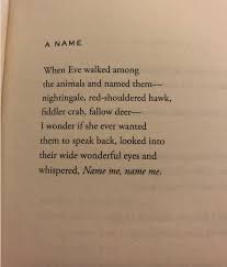 Forest Lore Boykeats Fuckyeahannecarson Ada Limon A In 2020 Sunrise Quotes Poetic Devices Personal Quotes