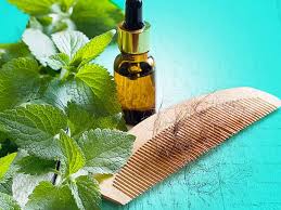 For high porosity hair, heavier oils that reduce frizz (like coconut oil, olive oil, and castor oil) are ideal. Best Hair Oil How To Prevent Hair Fall With Different Mixtures Of Hair Oil Lifealth