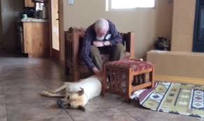 Lisa Told Buzzfeed That Her Dog Roscoe Is A 3 Year Old Rescue German Shepherd Lab The Moment Roscoe Greeted Him At The Door Lisa S Dad Began Petting And Tal Family Dogs Dogs