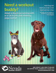 Pin By Tammy Dysard On Mostly Mutts Promotional Ideas Animal Rescue Fundraising Cat Neutering Morning Cat