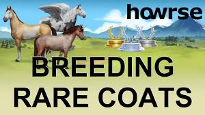 Breeding Rare Coats Howrse Howrse Trips 2018