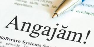 Salariul este în jur de 0.6 euro/kg +12,5% bani de concediu. Ajofm MureÈ AnunÈÄ Locuri De MuncÄ In Danemarca Stiri Din Mures Stiri Targu Mures Liderul Presei Muresene