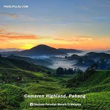 Video tanah tinggi cameron highland, pahang. 7 Lokasi Tanah Tinggi Di Malaysia Destinasi Percutian Facebook