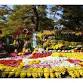 Chrysanthemum Dolls and Chrysanthemum Exhibition event image