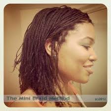 Mini Braids Natural Hair Braids Natural Hair Styles Twist Braid Hairstyles