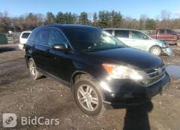 Image result for Crystal Black 2011 CRV