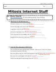Other results for onion root tip mitosis lab answer key: Bio Unit 6 Mitosis Internet Stuff Answer Key Doc Rozema Biology U2014spring 2010 Name Hr Mitosis Internet Stuf 1 Mitosis Tutorial Http Www Cellsalive Com Course Hero