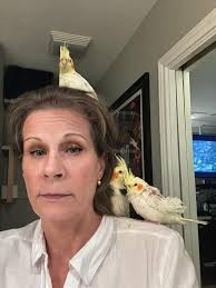 Life lessons from a 71-year-old