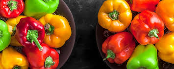 Image result for Capsicum