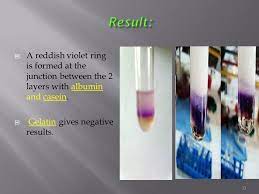 The indole group of tryptophan reacts with glyoxylic acid (glacial acetic acid, which has been exposed to light, always contains glyoxylic acid chocooh as an impurity). Color Tests Of Amino Acids Ppt Video Online Download
