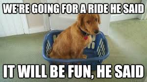 dog viking memes | quickmeme