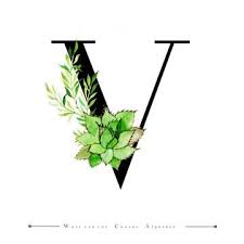 Alphabet Letter V With Watercolor Cactus And Leaves Background Watercolor Color Floral Png And Vector With Transparent Background For Free Download Lettering Alphabet Letter V Lettering Alphabet Fonts