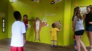 Interactive Lift And Sniff Area At Akron Zoo To Teach Children How Animals Identify Other Animals Best Funny Images Best Funny Pictures Funny Babies