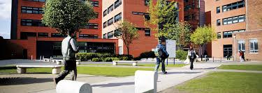 + вулверхэмптон уондерерс wolverhampton wanderers u23 wolverhampton wanderers u18 wolverhampton wanderers молодёжь. University Of Wolverhampton W75 The Uni Guide