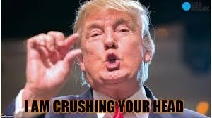 Donald Trump Small Brain Memes Gifs Imgflip