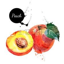 Aquarelle Banque D Images Vecteurs Et Illustrations Libres De Droits Illustration De Fruits Dessin Fruits Fruits Aquarelle