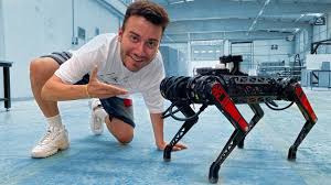 Turk Yapimi Robot Kopek Arat Https Asigosystemchrismunch Com 2020 09 04 Turk Yapimi Robot Kopek Arat F0 9f 87 B9 F0 9f 87 B7 In 2020 Stationary Bike Bike Gym