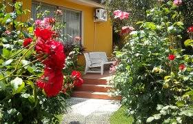 Offerte speciali e last minute appartamenti a marina di campo, capoliveri, portoferraio e altri versanti dell'isola d'elba. Lastminute Elba Mare In Toscana Isola D Elba 865 Offerte Elba Last Minute Elba Hotel Elba Alberghi