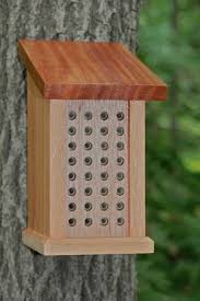 You can use potted milkweed plants or cuttings for. Project Pollinator