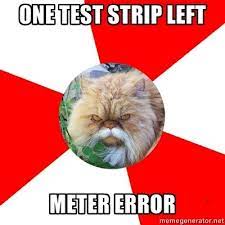 Fyeahdiabeticcat Diabetes Memes Type 1 Diabetes Mustache Cat