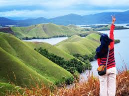 Di jalan setapak ini ayu dan sang buah hati, bilqis saling bergandengan tangan menyusuri banyak pepohonan. 6 Tempat Di Dalam Negeri Yang Layak Dijuluki New Zealand Van Indonesia