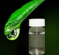 Pure Nicotine 99 5