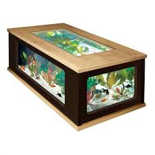 A fish tank coffee table can be a mesmerizing & beautiful attraction to your living room and it sure will be the talk of every conversation you have with friends and family. Coffee Table With Fish Tank Fish Tank Coffee Table Aquarium Coffee Table Fish Tank Table