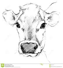 Pin By Kathy Dunavent On Tatuagens Cow Sketch Cow Drawing Cow Art
