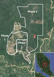 We did not find results for: The Chain Tabung Haji Plantations To Develop New Oil Palm Concession Once Again Breaching Buyers Ndpe Commitments Chain Reaction Research Sustainability Risk Analysis