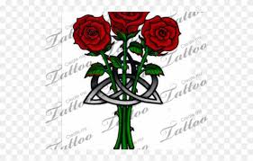 When it comes to choosing flower tattoos, a rose will rank top. Rose Tattoo Clipart Entwined Celtic Knot Rose Png Download 1834953 Pinclipart
