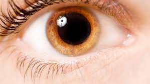 A cataract is a clouding of the eye's natural lens, which lies behind the iris and the pupil. Crstoday Intraoperative Miosis In Cataract Surgery