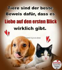 Liebe Auf Den Ersten Blick Sonias Spruche Bilder Facebook