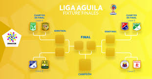 Horarios y dónde ver en vivo la ida de cuartos de final del guard1anes 2020. Nacional Jugara Los Cuartos De Final De La Liga Aguila Ante Jaguares Politika Com Co