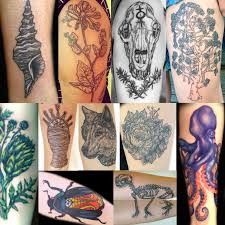 5 reviews of spectrum best tattoo shop i've ever been too, awesome owner and tattoo artist! Tattoos Em16