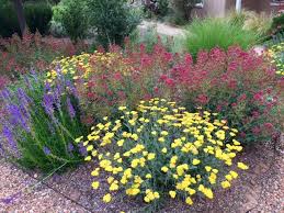 Together we will work with nature and spirit to discover and grow what we love.this video contains. Pin On Santa Fe New Mexico Places