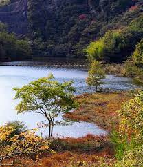 訪れる人も少なくのんびりできますよ 岡山県美作市滝の宮 そしてもう一つの名所 その2 風景 名所 日本 の 風景