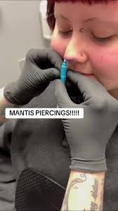 My first ever mantis piercings for you!!! Ive been wanting to do these for  so long. So much fun!!! FOLLOW ME!! ALSO thanks for watching! #mantis  #mantispiercings #mantispiercing #tattooer #fyp #fypシ ...