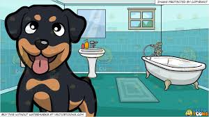 Maybe you would like to learn more about one of these? A Cute Rottweiler Waiting For Its Owner And An Apartment Bathroom Background Dog Caricature Rottweiler Teal Tile