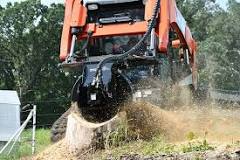 Skid Steer Stump Removal: Best Attachments for Effective Clearing