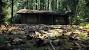 Evil Dead Cabin Gif