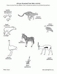 Ecosystems, food chain, food web, science vocabulary activitiesthis three page set of ecosystem, food chain food chains review poster printable. Food Web Coloring Pages Coloring Home