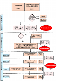 Flow Chart For Diagnosis Of Cardiotoxicity In Chemotherapy