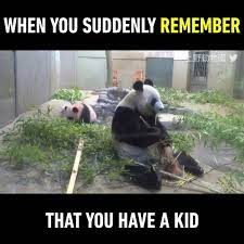 9gag Panda Suddenly Remembers It Had A Kid Facebook
